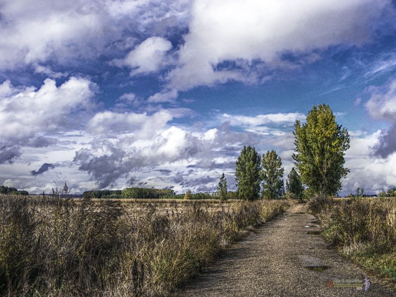 Camino a San Cristobal de la Polantera. (Leon).jpg